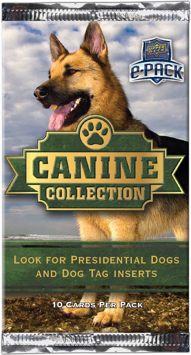 Brain Games for Dogs Card Deck – The Country Canine Company